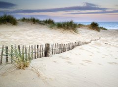 Samolepka flie 270 x 200, 54417902 - Grassy sand dunes landscape at sunrise