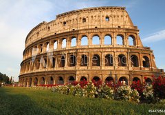 Fototapeta papr 184 x 128, 54472561 - The Colosseum in Rome, Italy