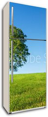Samolepka na lednici fólie 80 x 200, 54481754 - Green tree and blue sky - Zelený strom a modrá obloha