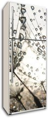 Samolepka na lednici flie 80 x 200, 54512856 - Dandelion seeds with dew drops - Semena pampeliky s kapkami rosy