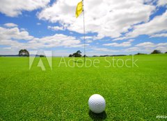 Fototapeta vliesov 100 x 73, 5451450 - Green on beautiful Golf Course