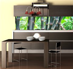 Fototapeta do kuchyn flie 260 x 60  Bamboo forest, 260 x 60 cm