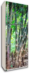 Samolepka na lednici flie 80 x 200  Bamboo forest, 80 x 200 cm