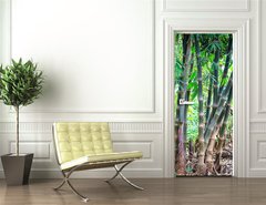 Samolepka na dvee flie 90 x 220  Bamboo forest, 90 x 220 cm