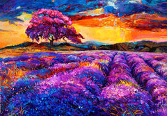 Fototapeta papr 184 x 128, 54800593 - Lavender fields