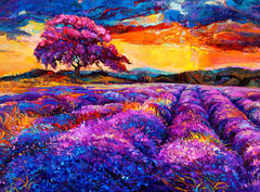 Fototapeta pltno 330 x 244, 54800593 - Lavender fields