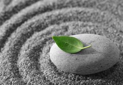 Samolepka flie 145 x 100, 5482325 - Zen garden - Zen zahrada