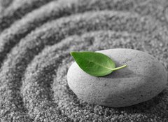 Fototapeta pltno 240 x 174, 5482325 - Zen garden - Zen zahrada