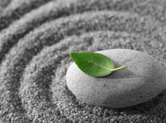 Samolepka flie 270 x 200, 5482325 - Zen garden - Zen zahrada