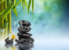 Samolepka flie 100 x 73, 55037906 - Stones and Bamboo on the water with narcissus flower - Kameny a bambus na vod s kvtem narcisu