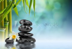Fototapeta pltno 174 x 120, 55037906 - Stones and Bamboo on the water with narcissus flower