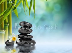 Samolepka flie 270 x 200, 55037906 - Stones and Bamboo on the water with narcissus flower