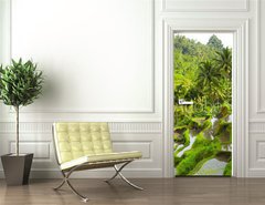 Samolepka na dvee flie 90 x 220, 55307244 - Rice terrace