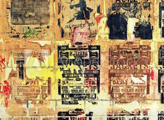 Samolepka flie 100 x 73  graffiti, 100 x 73 cm