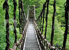 Fototapeta100 x 73  Pont de lianes Kazura bashi Oku Iya, Shikoku, Japon, 100 x 73 cm