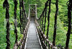 Fototapeta pltno 174 x 120, 55730314 - Pont de lianes Kazura-bashi  Oku Iya, Shikoku, Japon