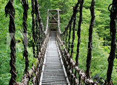 Fototapeta254 x 184  Pont de lianes Kazura bashi Oku Iya, Shikoku, Japon, 254 x 184 cm