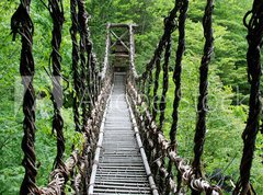 Fototapeta pltno 330 x 244, 55730314 - Pont de lianes Kazura-bashi  Oku Iya, Shikoku, Japon