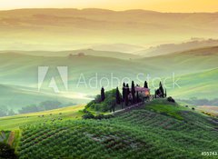 Fototapeta vliesov 100 x 73, 55743128 - Campagna toscana, Italia