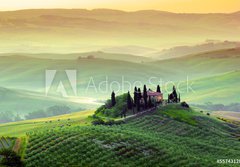 Fototapeta papr 184 x 128, 55743128 - Campagna toscana, Italia