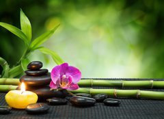 Fototapeta pltno 240 x 174, 55755054 - purple orchid, candle, with stones , bamboo on black mat - fialov orchidej, svka, kameny, bambus na ernm podkladu