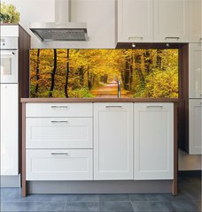 Fototapeta do kuchyn flie 180 x 60  Autumn forest, 180 x 60 cm