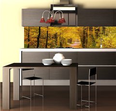 Fototapeta do kuchyn flie 260 x 60  Autumn forest, 260 x 60 cm