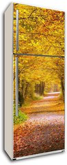 Samolepka na lednici flie 80 x 200  Autumn forest, 80 x 200 cm