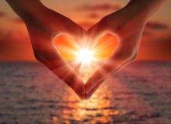 Fototapeta pltno 240 x 174, 56533400 - sunset in heart hands - zpad slunce v rukou srdce