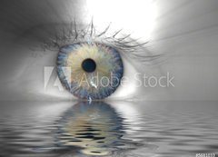 Samolepka flie 200 x 144, 5681033 - Auge + Wassereffekt