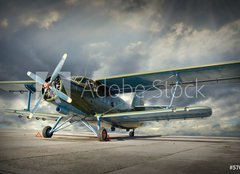 Fototapeta160 x 116  Retro style picture of the biplane. Transportation theme., 160 x 116 cm