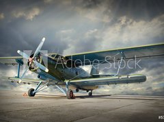 Fototapeta330 x 244  Retro style picture of the biplane. Transportation theme., 330 x 244 cm