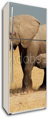 Samolepka na lednici flie 80 x 200, 57159640 - African elephant with calf, Amboseli National Park