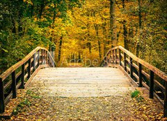 Samolepka flie 100 x 73  Bridge in autumn park, 100 x 73 cm