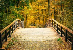 Fototapeta145 x 100  Bridge in autumn park, 145 x 100 cm