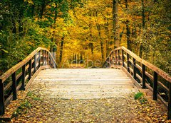 Fototapeta160 x 116  Bridge in autumn park, 160 x 116 cm