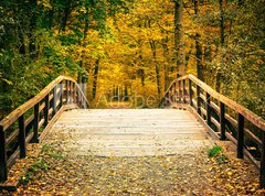 Samolepka flie 270 x 200  Bridge in autumn park, 270 x 200 cm
