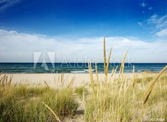 Fototapeta100 x 73  path to beach with dune grass, 100 x 73 cm