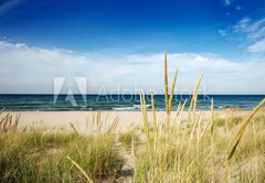 Fototapeta145 x 100  path to beach with dune grass, 145 x 100 cm