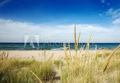 Fototapeta papr 184 x 128, 5729564 - path to beach with dune grass