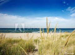 Fototapeta vliesov 270 x 200, 5729564 - path to beach with dune grass