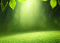 Fototapeta plátno 160 x 116, 57381095 - Spring forest background - Jarní lesní pozadí