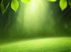 Samolepka flie 270 x 200, 57381095 - Spring forest  background