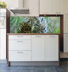 Fototapeta do kuchyn flie 180 x 60  Leopard, 180 x 60 cm
