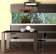 Fototapeta do kuchyn flie 260 x 60, 5752327 - Leopard