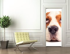 Samolepka na dvee flie 90 x 220  beagle head isolated on white, 90 x 220 cm