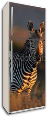 Samolepka na lednici flie 80 x 200  Cape Mountain Zebra portrait, 80 x 200 cm