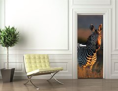 Samolepka na dvee flie 90 x 220  Cape Mountain Zebra portrait, 90 x 220 cm