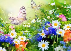 Samolepka flie 200 x 144, 57751205 - Gartenparadies