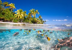 Fototapeta184 x 128  Tropical island, 184 x 128 cm